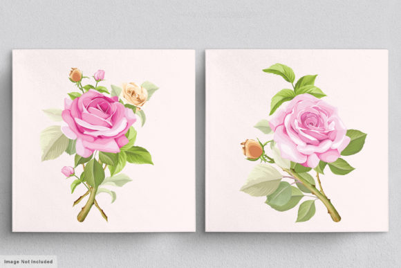 Download Beautiful Roses Hand Drawn Illustrations - Illustration Collection