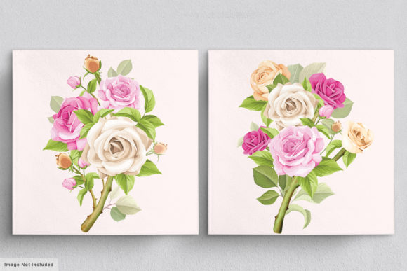 Download Beautiful Roses Hand Drawn Illustrations - Illustration Collection