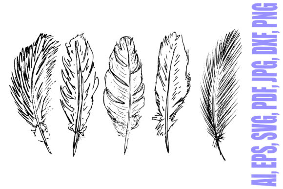 Download Five Hand Drawn Feathers Illustrations - Illustration Collection