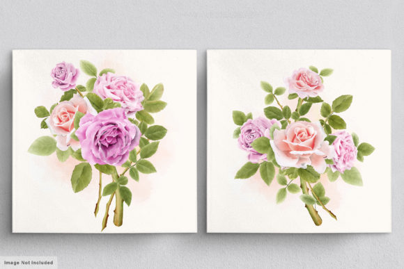 Download Beautiful Roses Hand Drawn Illustrations - Illustration Collection