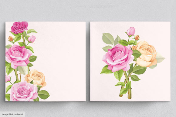 Download Beautiful Roses Hand Drawn Illustrations - Illustration Collection