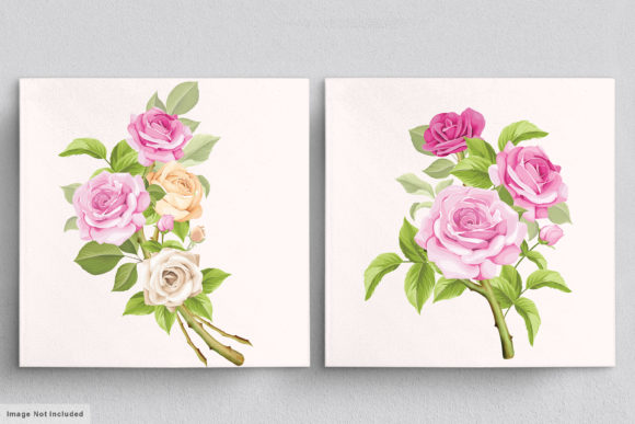 Download Beautiful Roses Hand Drawn Illustrations - Illustration Collection