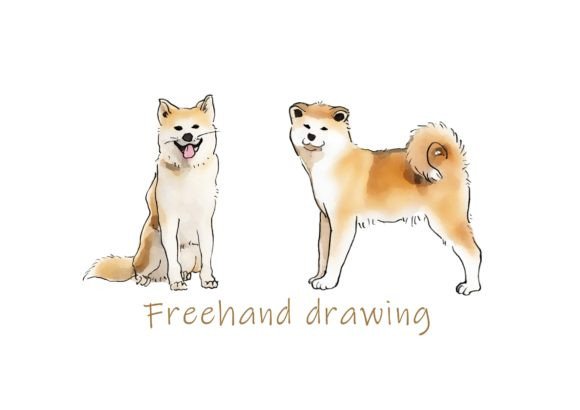 Download Freehand Illustration of Akita Inu Dog - Illustration Collection